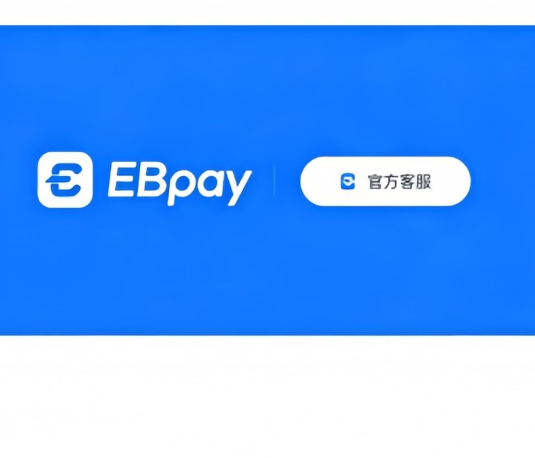 ebpay官网界面说明图
