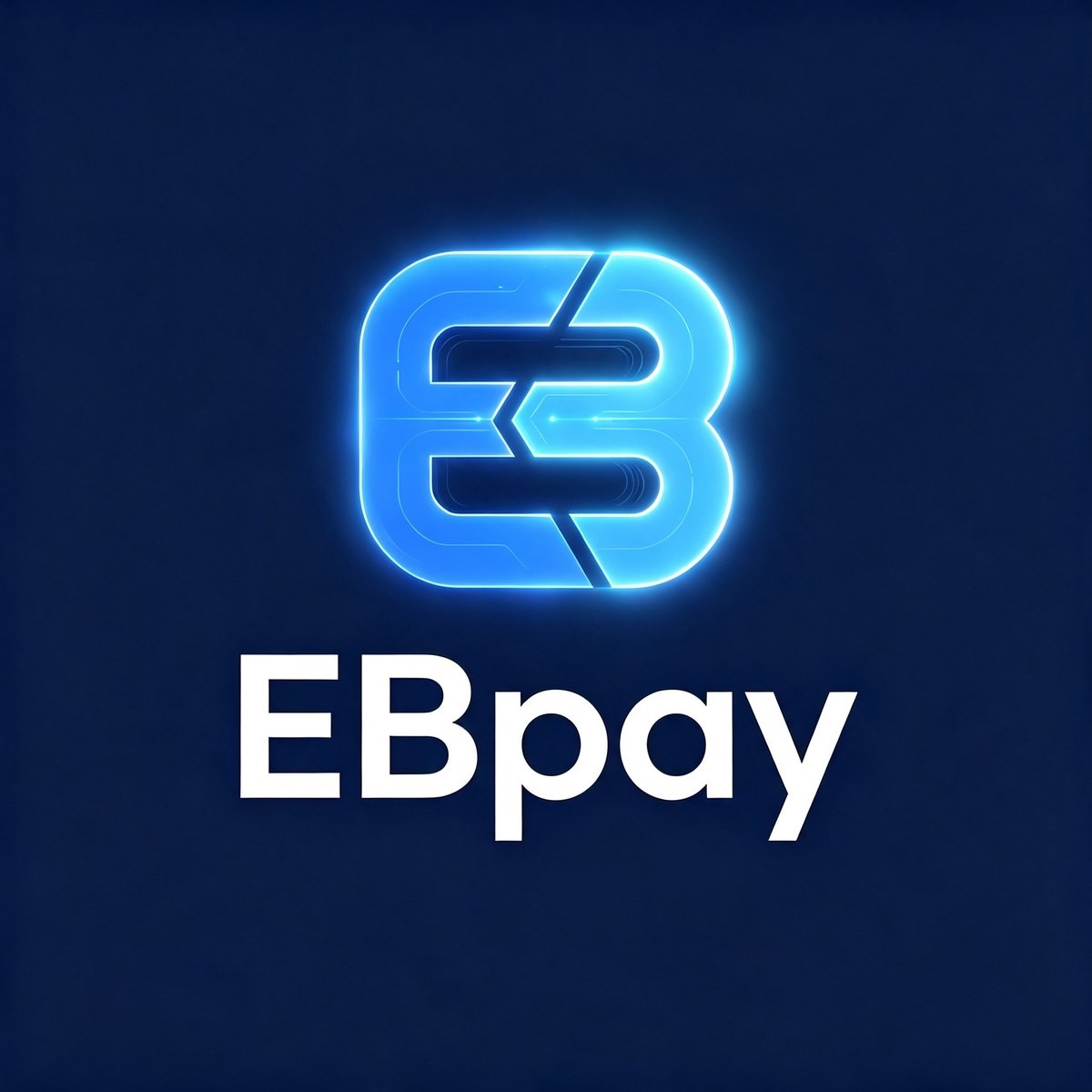 ebpay注册说明图